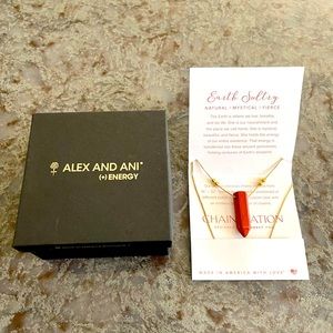 Alex and Ani Expandable Red Jasper pendant